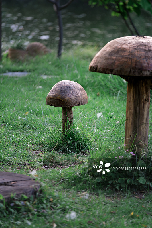 柳州都乐公园里的创意木质蘑菇摆件图片素材