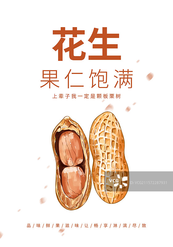 花生创意海报设计模板图片素材