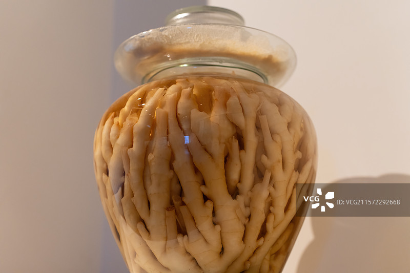 四川省眉山市中国泡菜博物馆泡菜图片素材