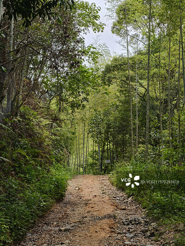 龙岩江山大峡谷风光图片素材