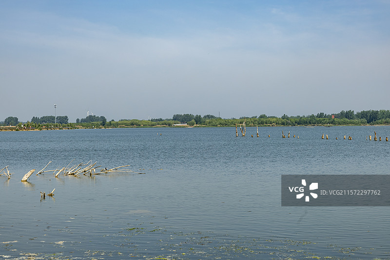 安徽省亳州市涡阳县道源湿地公园风光图片素材