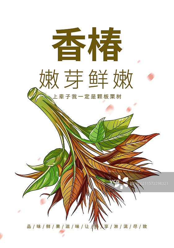 香椿创意海报设计模板图片素材