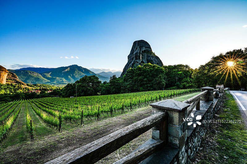 希腊迈泰奥拉夕阳中的葡萄园图片素材