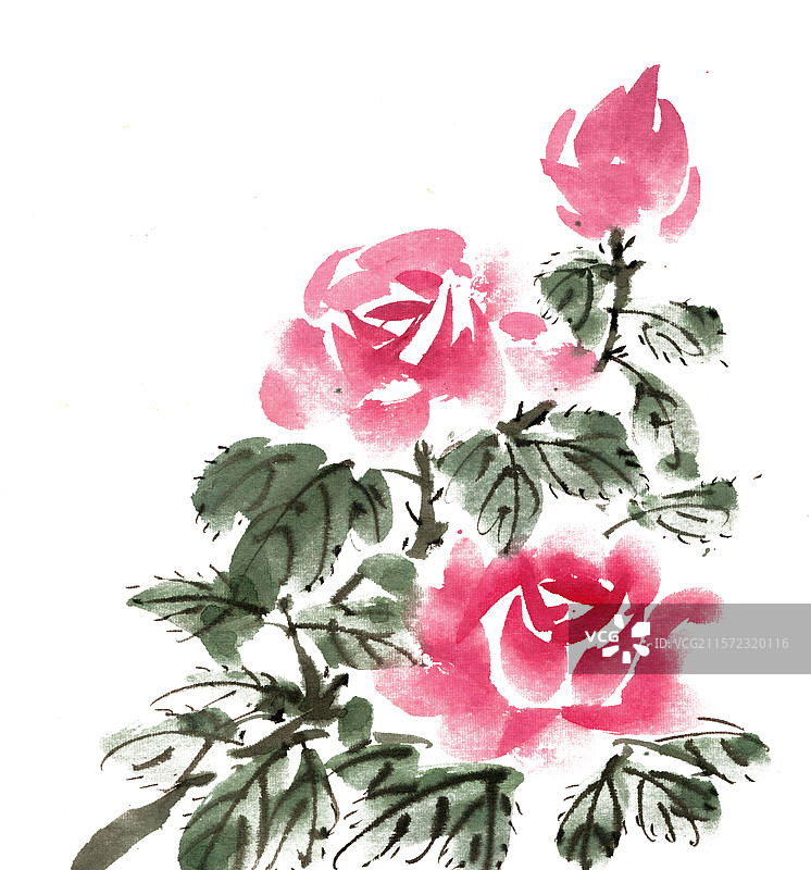 红色月季花图片素材