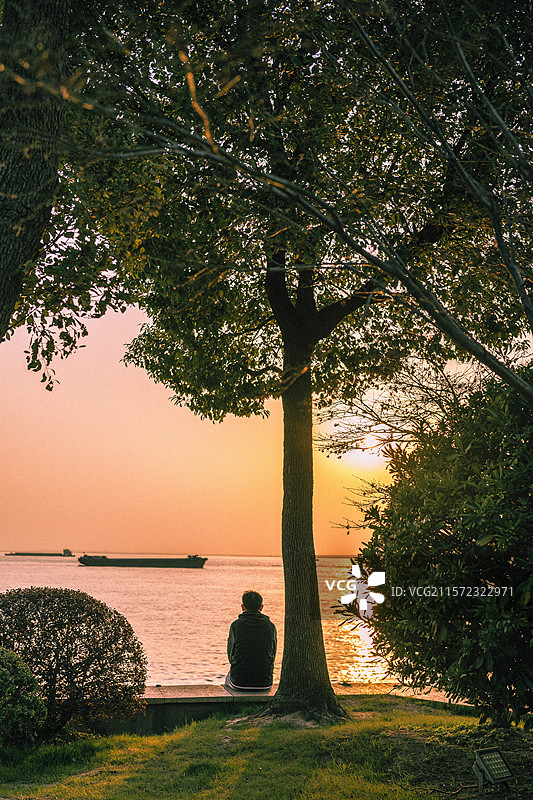 黄昏江边树下图片素材