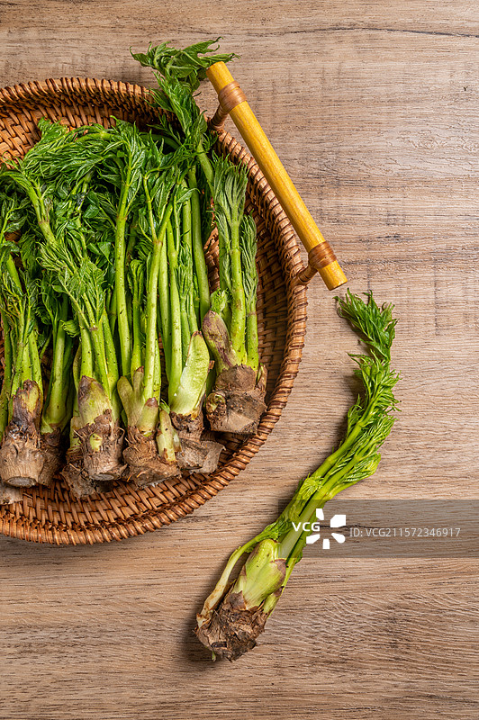 新鲜野菜老芽图片素材