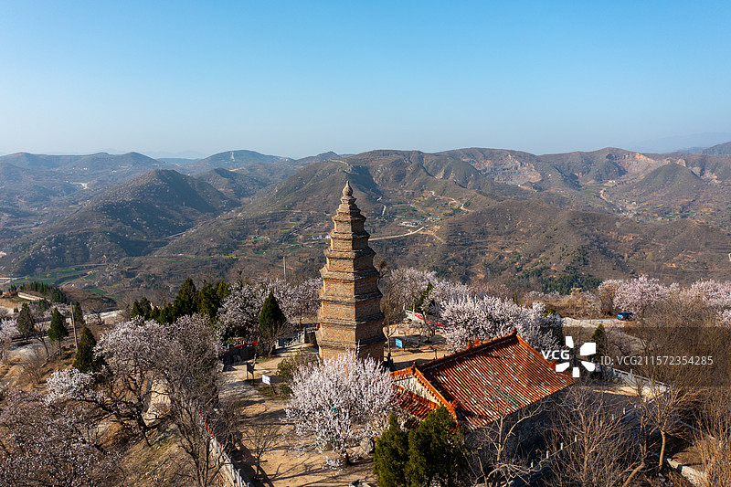 春天杏花盛开的塔山千尺塔风景图片素材