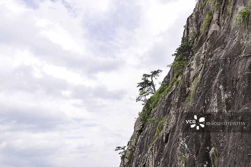 岳西县明堂山一株独松树图片素材