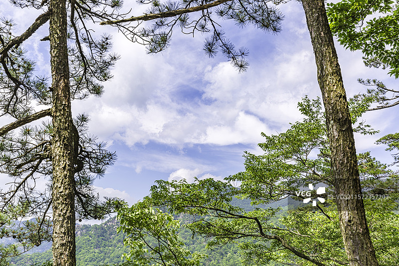 岳西县明堂山青松里的蓝天白云青山图片素材