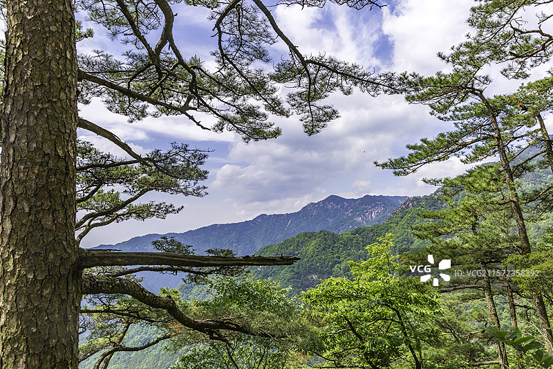 岳西县明堂山青松里的蓝天白云青山图片素材