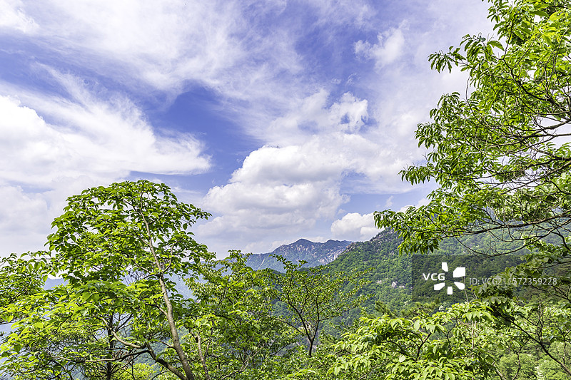 岳西县明堂山青松里的蓝天白云青山图片素材