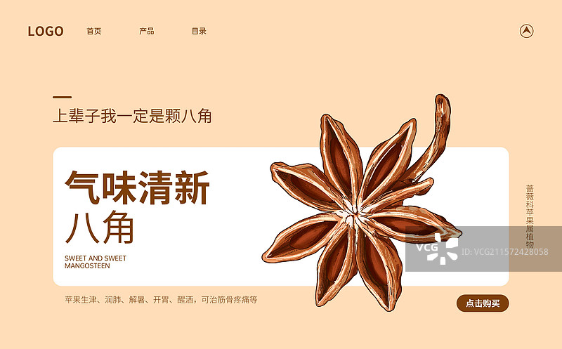 中药香料调味料八角创意海报设计模板图片素材