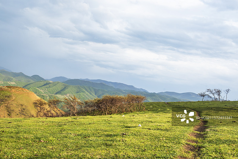 甘肃省陇南市礼县上坪乡大河边草原 甘肃高山草原 草原 礼县的草原图片素材