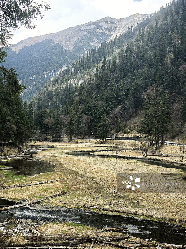 九寨沟原始森林图片素材