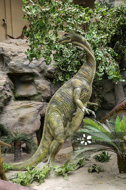 国家自然博物馆-恐龙公园-三叠纪晚期板龙图片素材