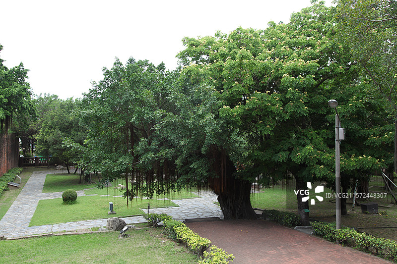 台湾高雄安平古堡经典建筑植物花图片素材