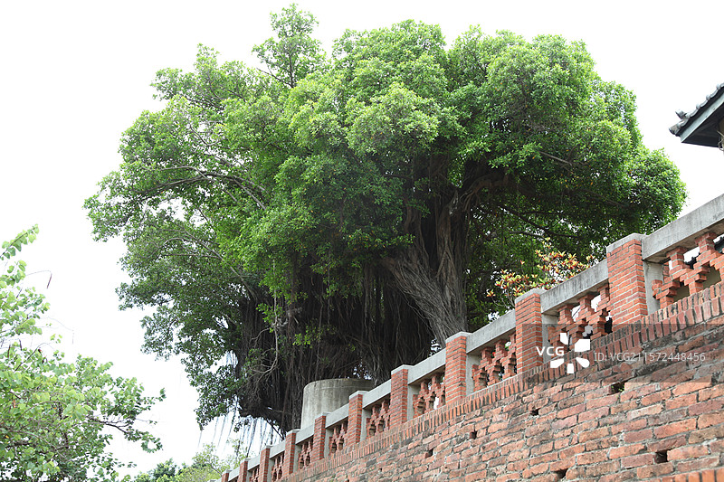 台湾高雄安平古堡经典建筑植物花图片素材