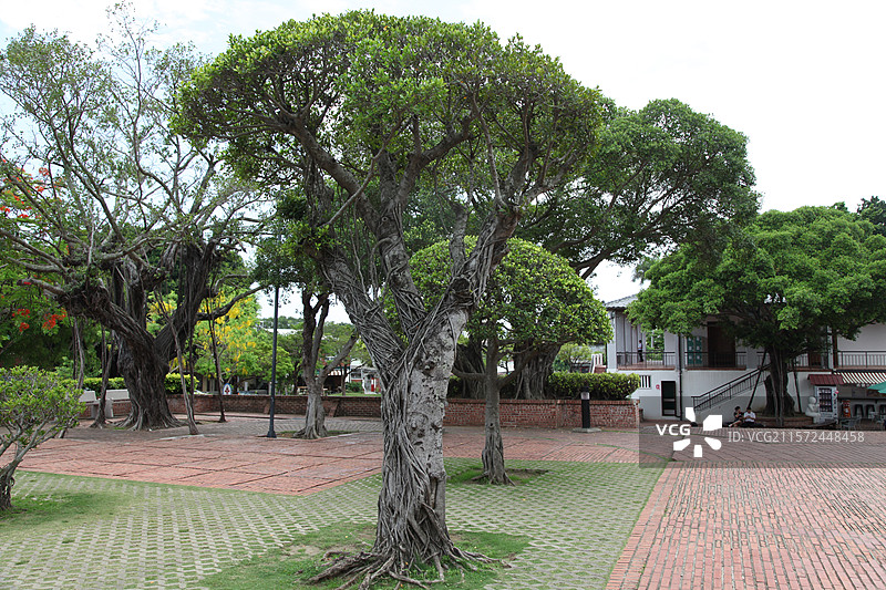 台湾高雄安平古堡经典建筑植物花图片素材