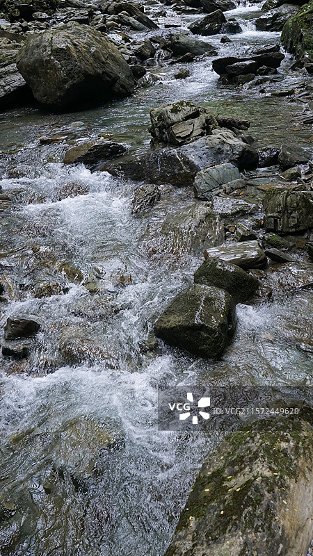 森林溪流景观图片素材