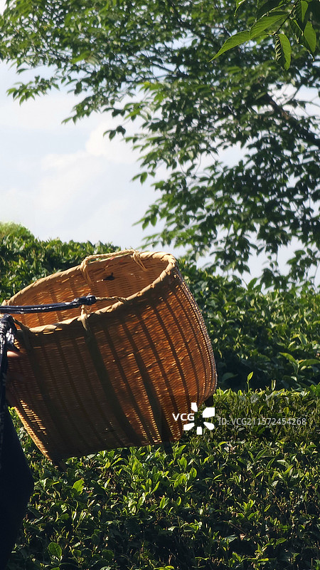 徽州 采茶篓图片素材