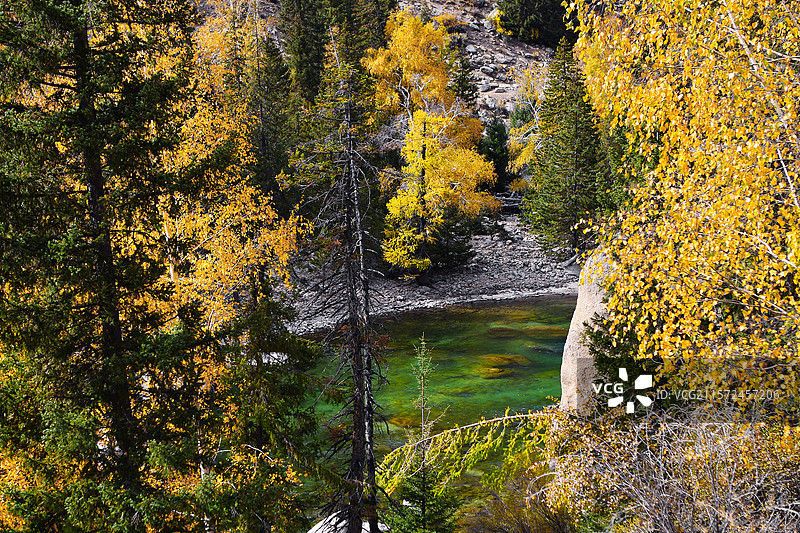 新疆额尔齐斯大峡谷秋色图片素材