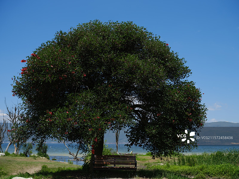 大理洱海图片素材