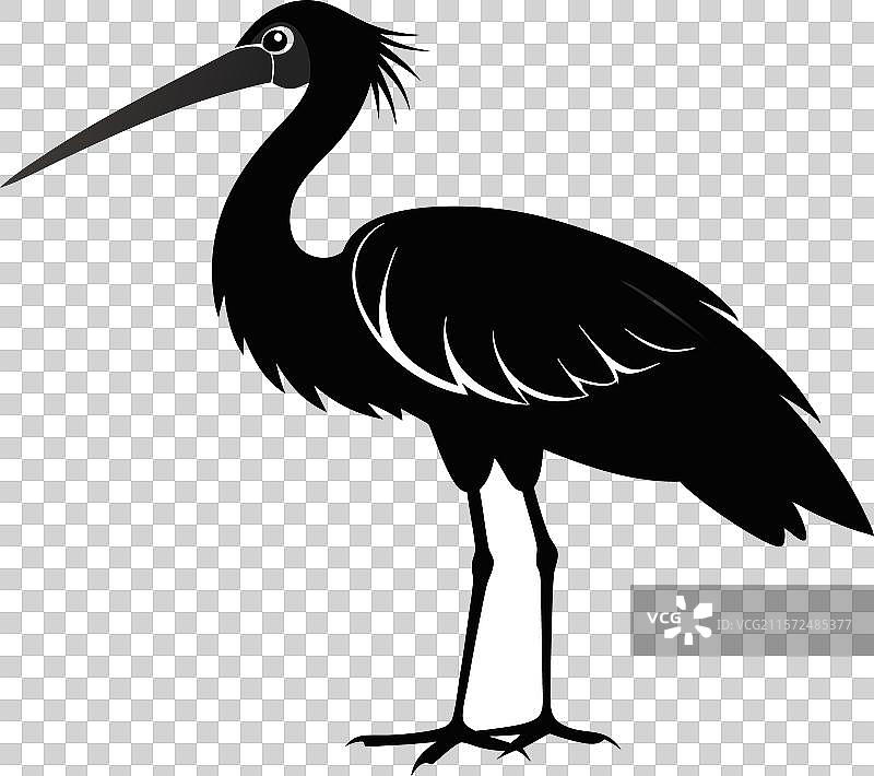 玫瑰鹮的黑白剪影图片素材