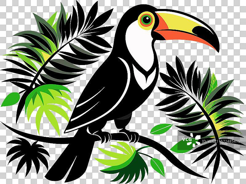 热带巨嘴鸟的生动剪影图片素材