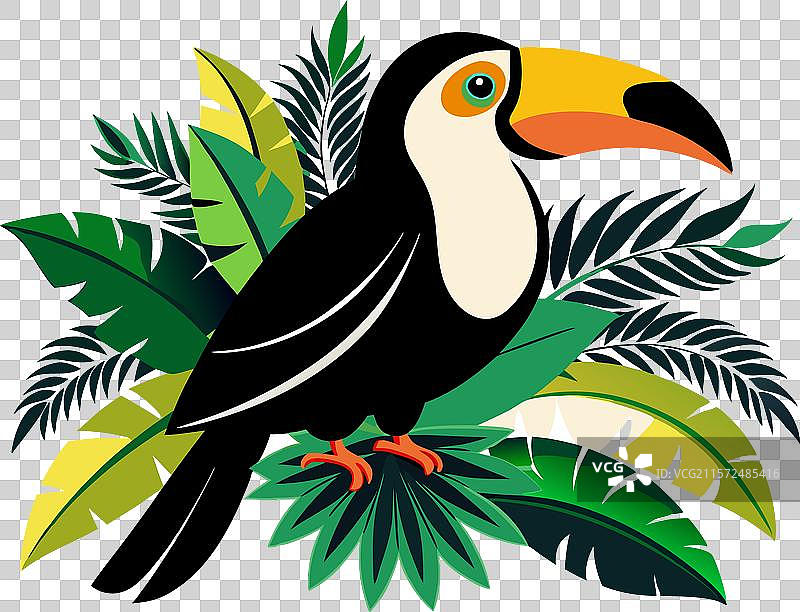 热带巨嘴鸟的生动剪影图片素材