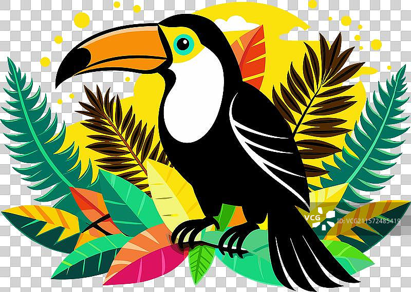 热带巨嘴鸟的生动剪影图片素材