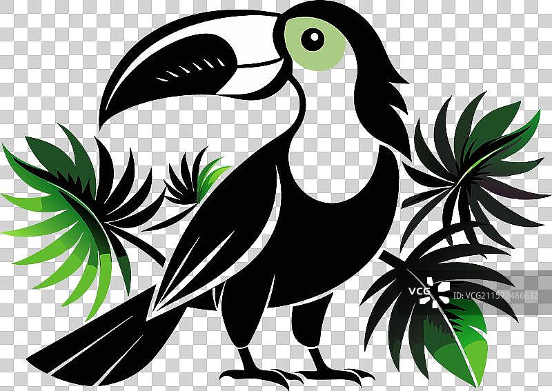 热带巨嘴鸟的生动剪影图片素材