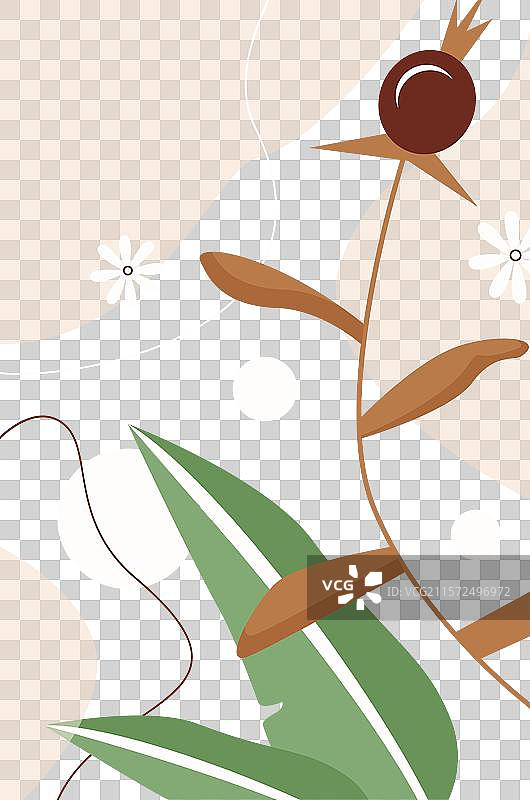 抽象植物图案与绿色叶子图片素材