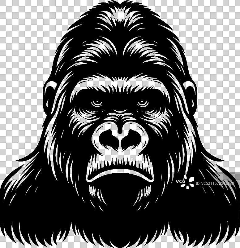 孤立在白色背景上的大猩猩头部吉祥物剪影图片素材