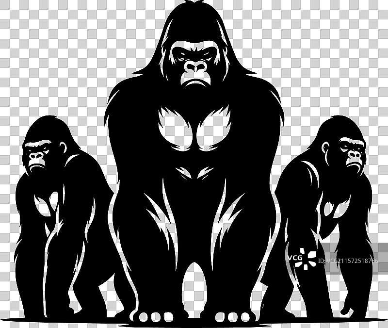 一组孤立在白色背景上的大猩猩剪影图片素材