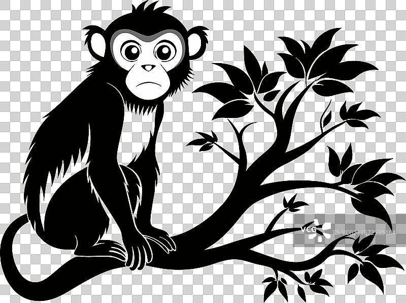 树上的猴子图片素材