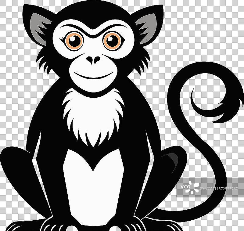 树上的猴子图片素材