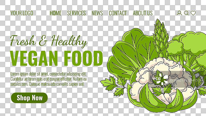 新鲜健康的素食蔬菜订单图片素材
