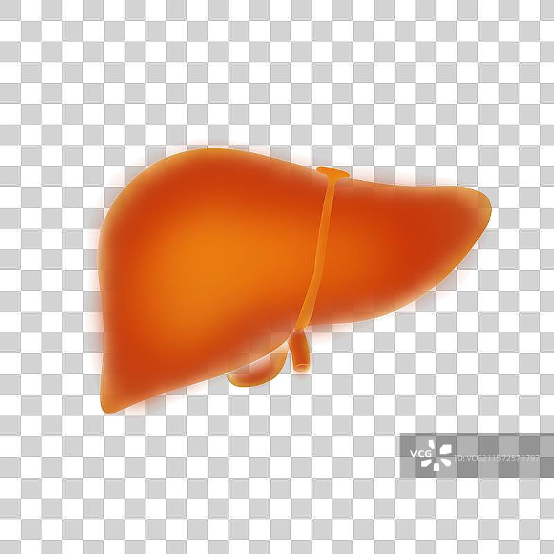 世界肝炎日全国爱肝日医疗健康肝炎医学高峰论坛图片素材