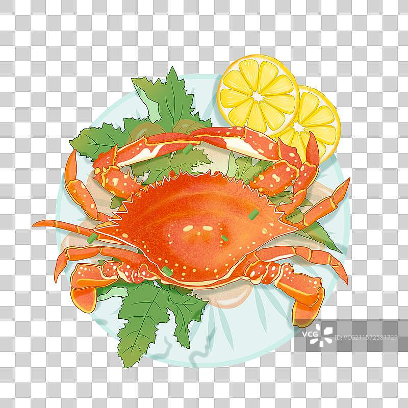 梭子蟹插画图片素材