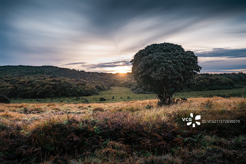 霍顿平原之日出Sunrise at Horton Plains, Sri Lanka图片素材