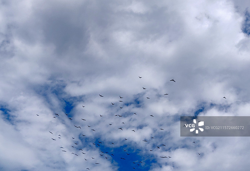 伯朗大道图片素材