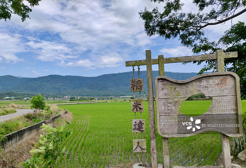 伯朗大道图片素材