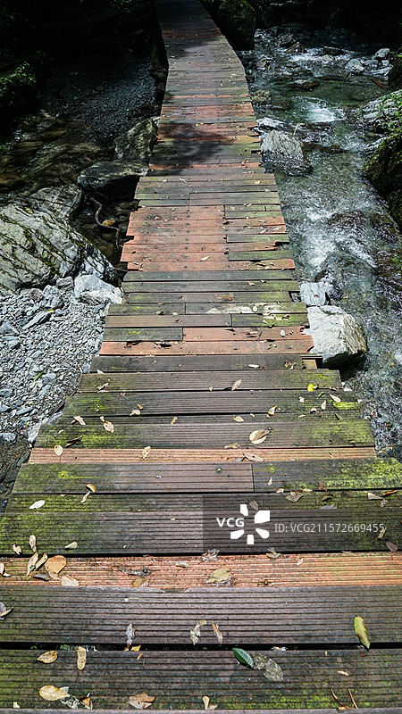 森林中的道路图片素材