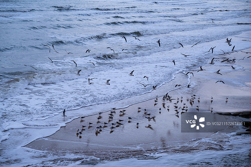 冬季的威海图片素材