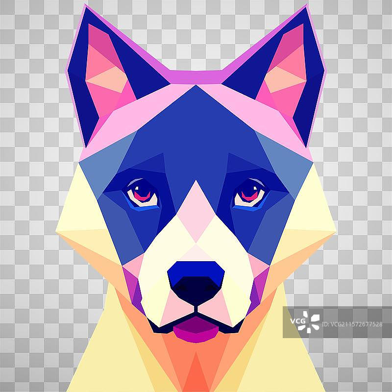 低多边形风格的狗脸，带有蓝色图片素材