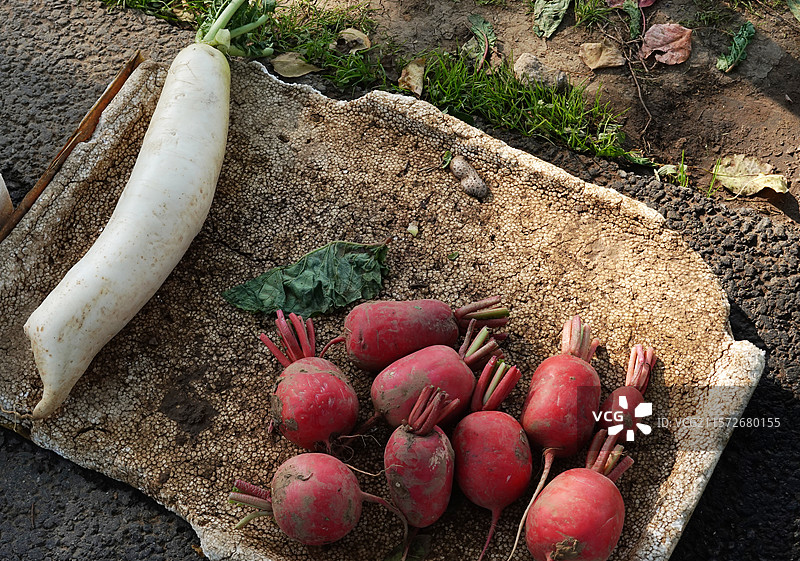 农业 农产品蔬菜 萝卜图片素材
