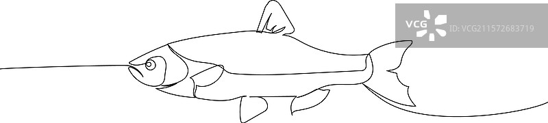 海鱼、河鱼、鲱鱼、沙丁鱼、鲤鱼图片素材