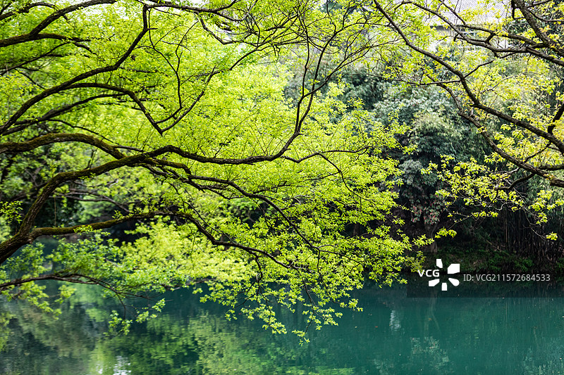 杭州乌龟潭春色图片素材