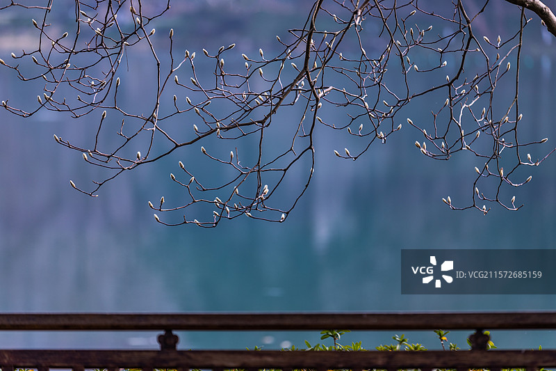 杭州浴鹄湾景区图片素材