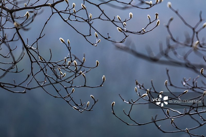 杭州浴鹄湾景区图片素材